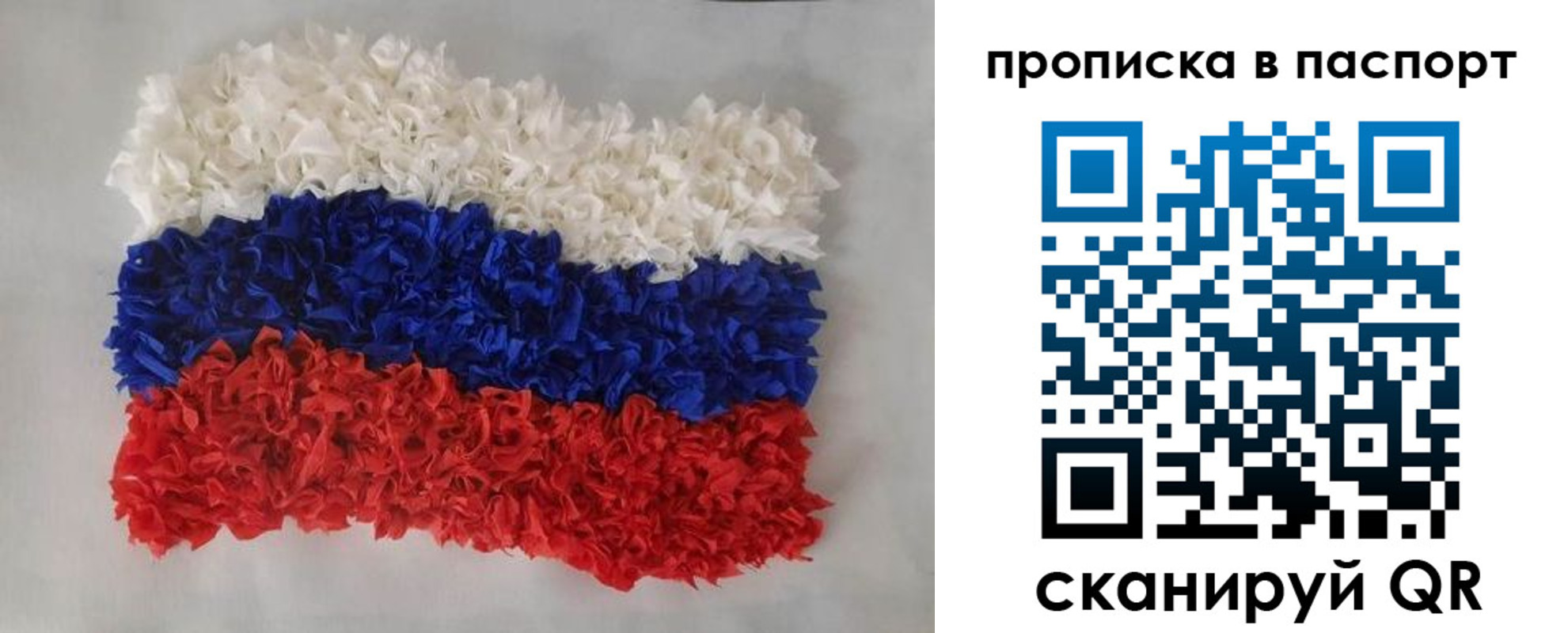 прописка в Курске