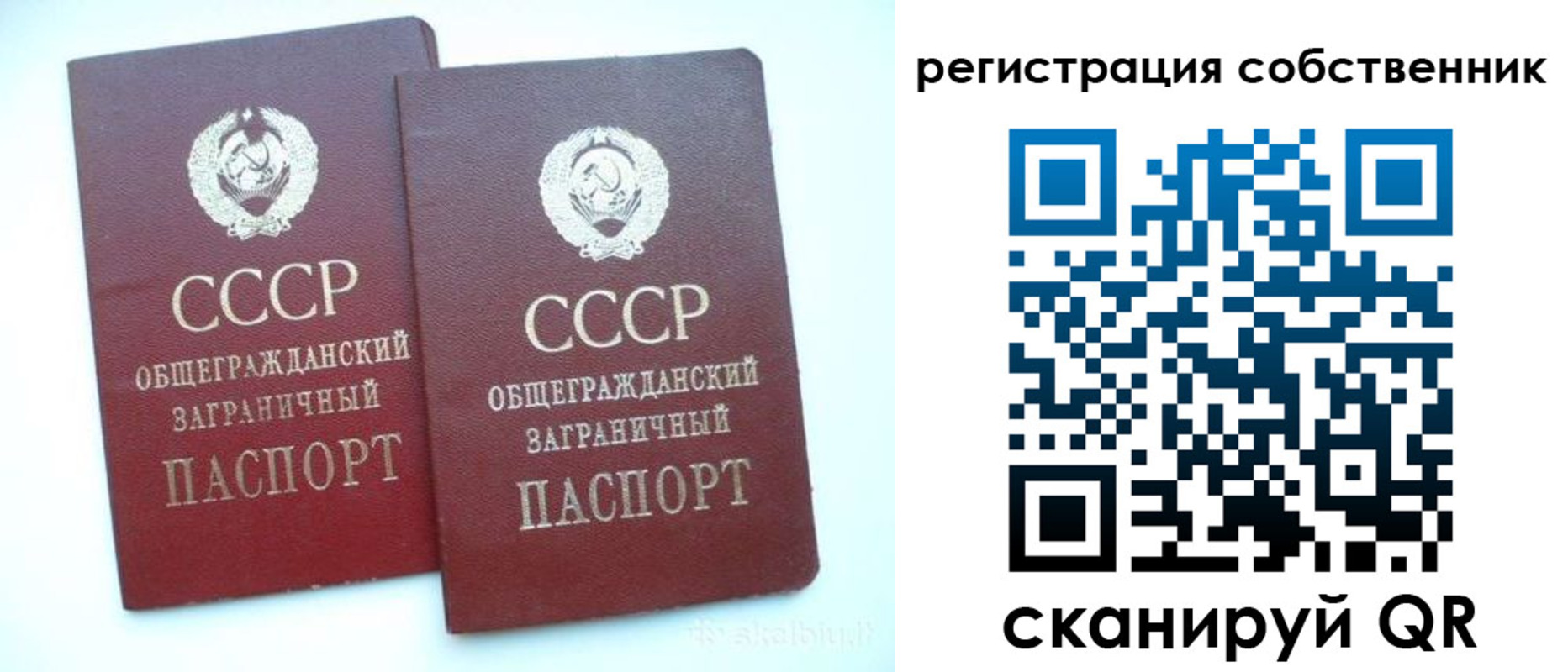временная регистрация надежно в Курске